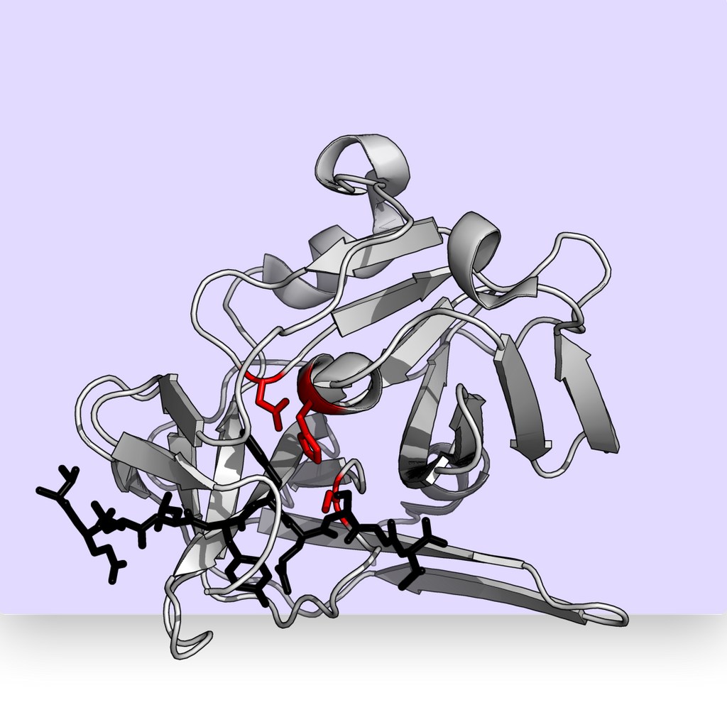 Amylase Blend