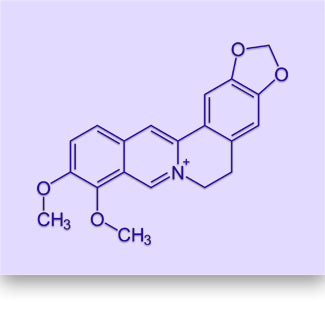 Berberine