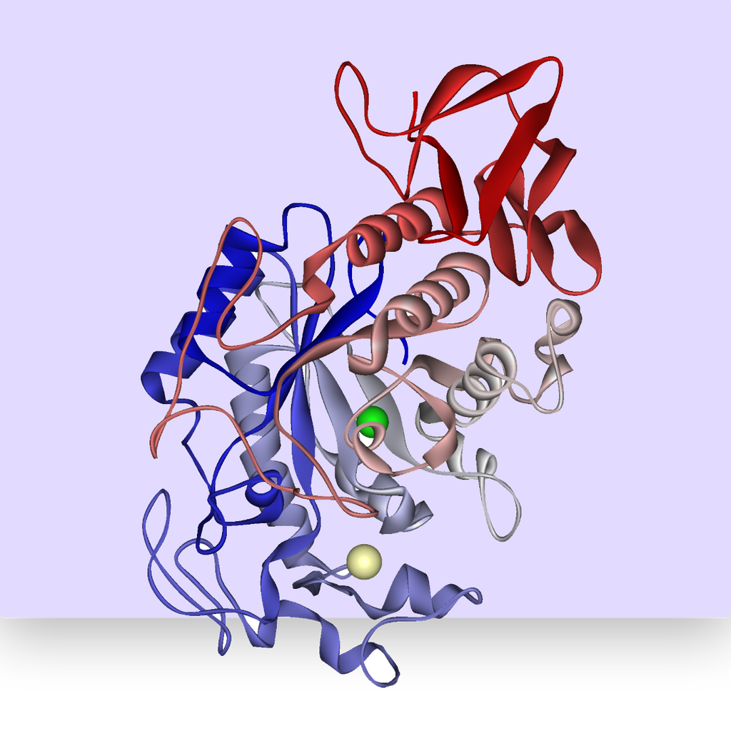 Digestive Enzyme Blend