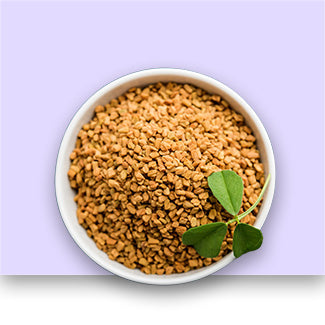 Fenugreek