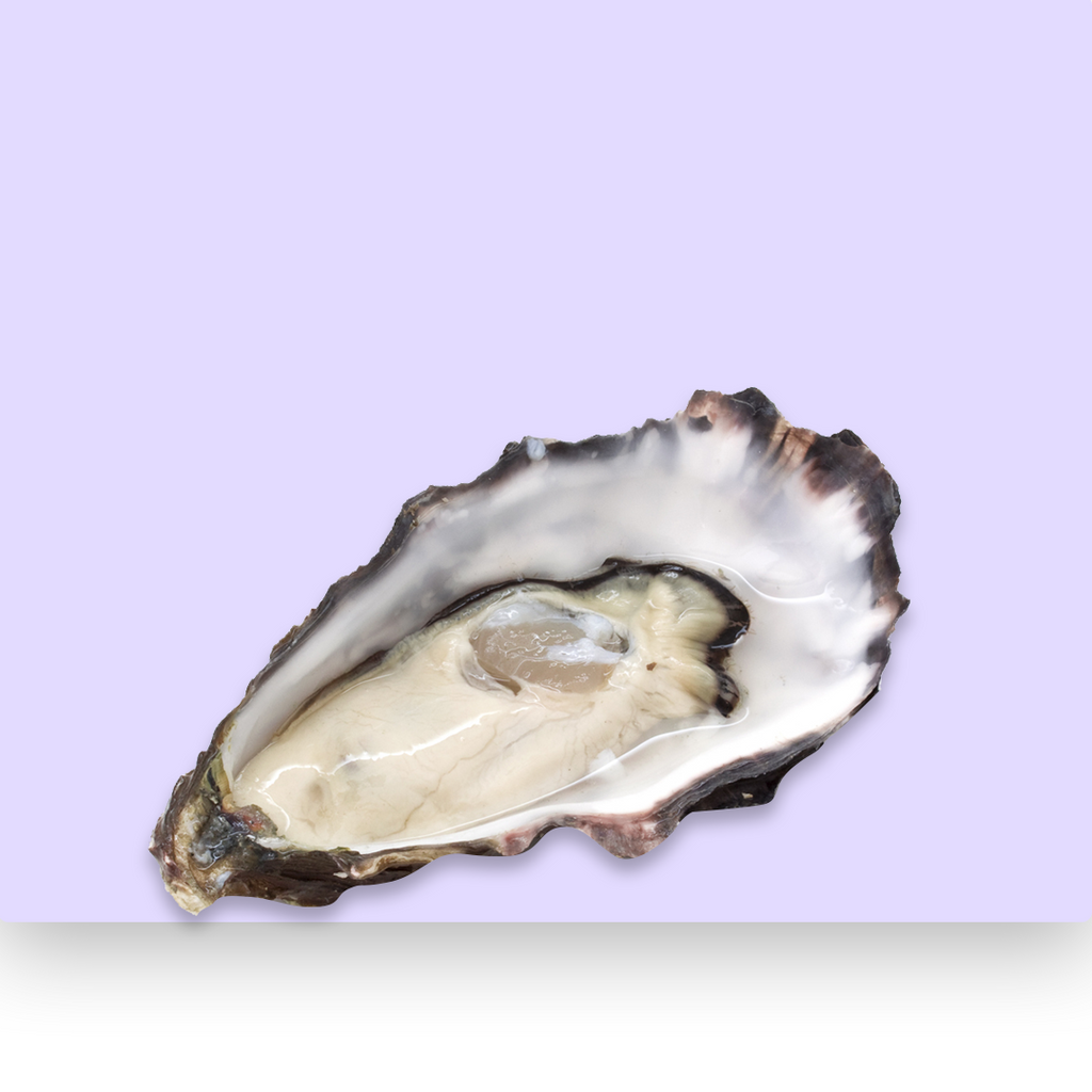 Oyster