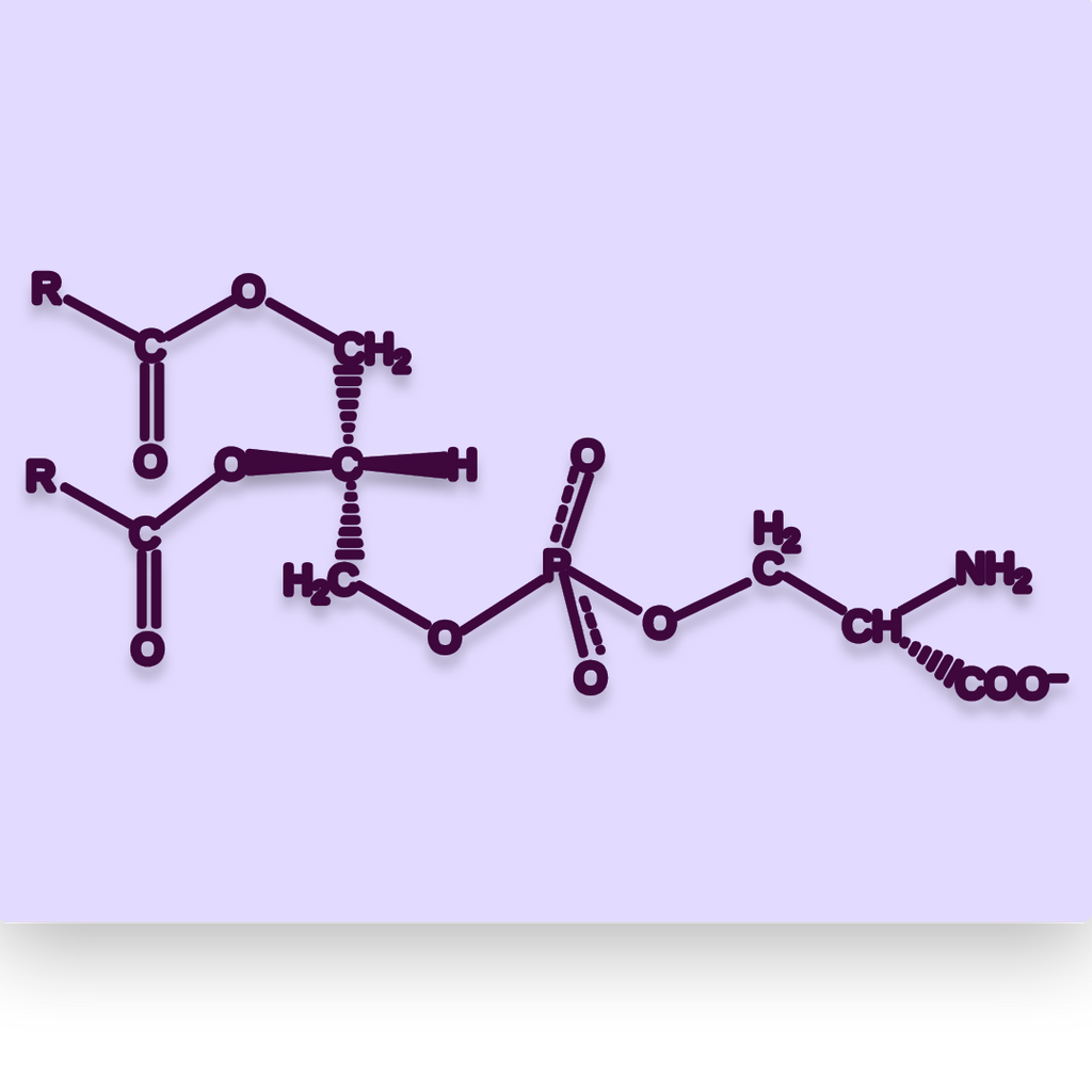 Phosphatidylserine
