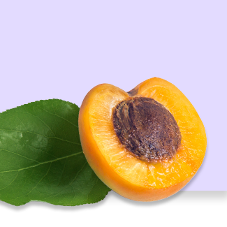 Apricot seed