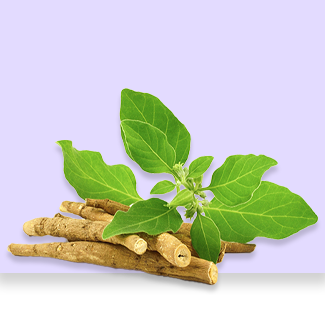 Ashwangandha