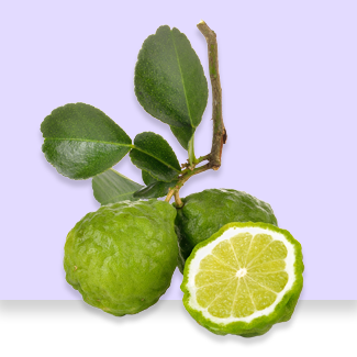Citrus bergot