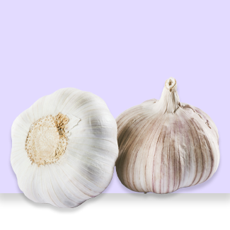 Garlic