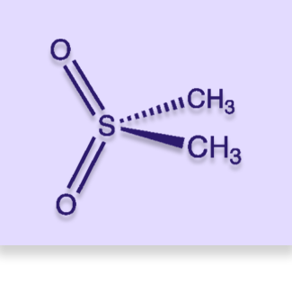 Methlysulfolynmethane