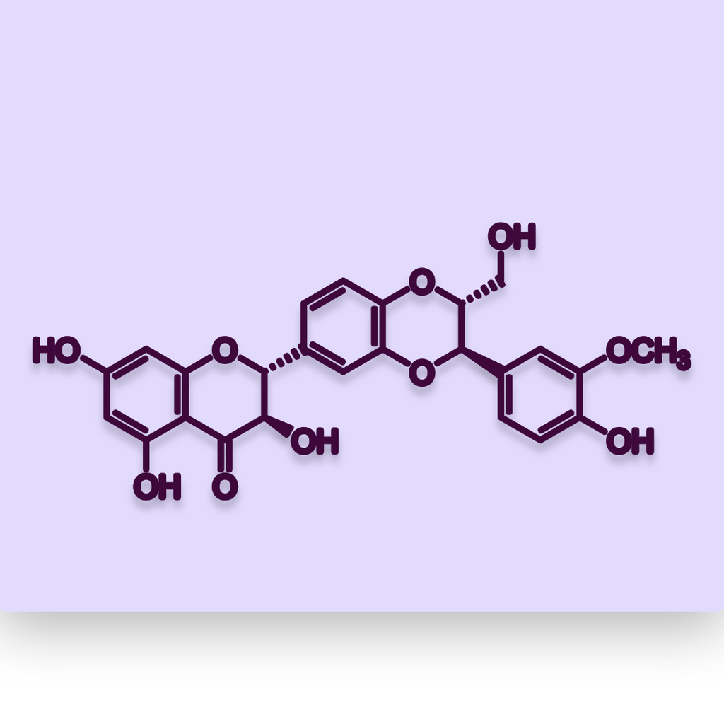 Milk Thistle