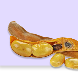 Mucuna pruriens