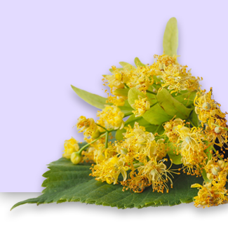 Rhodila rosea extract