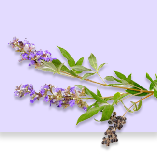 Vitex berry